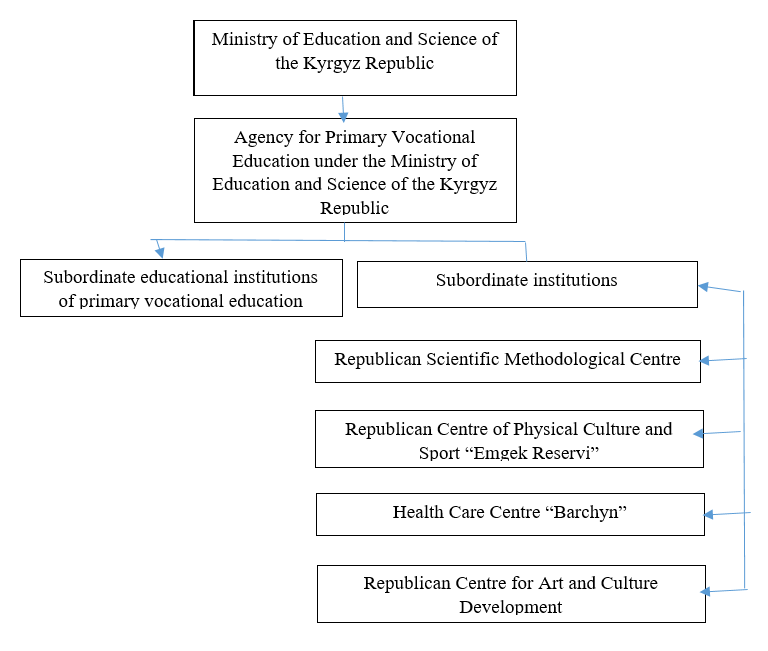 Structure of the Agency for Primary Vocational Education