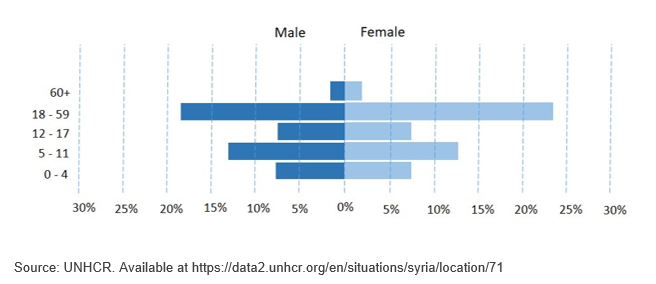 Figure 3 Demography of the Syrian Refugees Registered with UNHCR  in Lebanon 2018