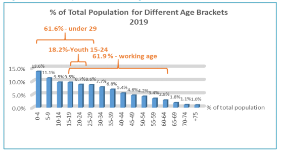 Figure 1: % of Total Population for Different Age Brackets - 2019