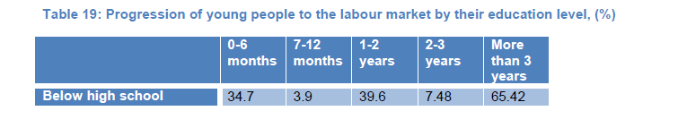 Table 19: Progression of young people to the labour market by their education level, (%)