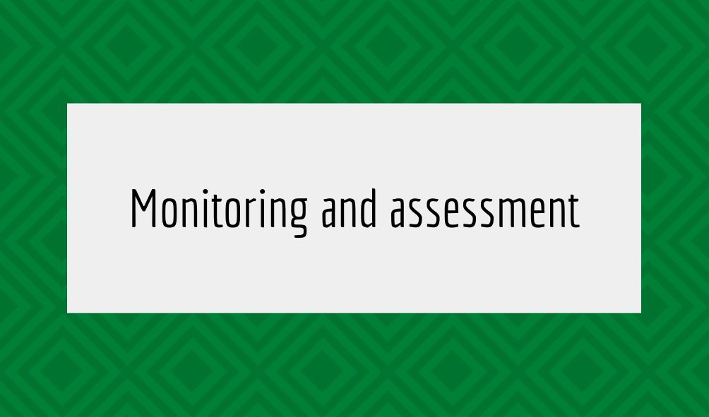 monitoring and assessment 