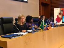 Deputy Head of EU Delegation to AU and AU Commission HRST open the workshop