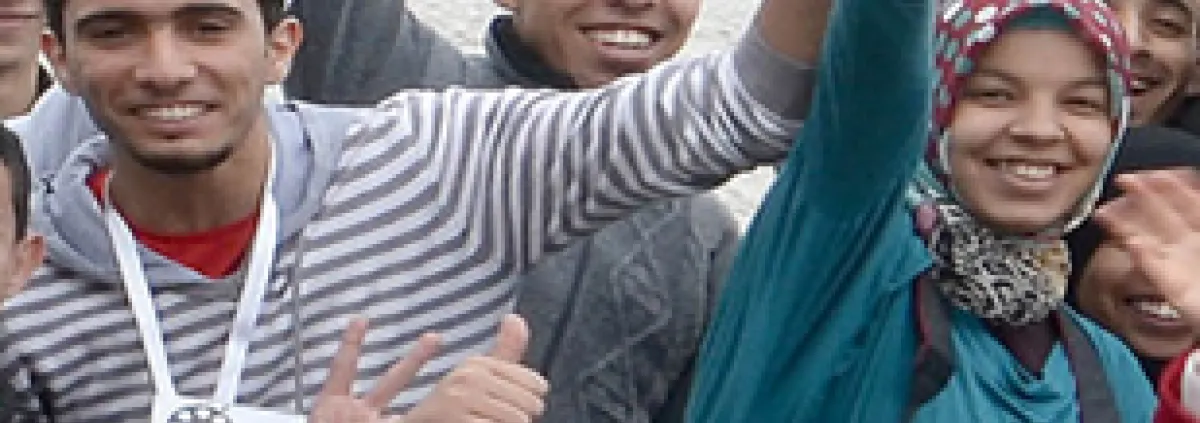 Civil society and employment promotion