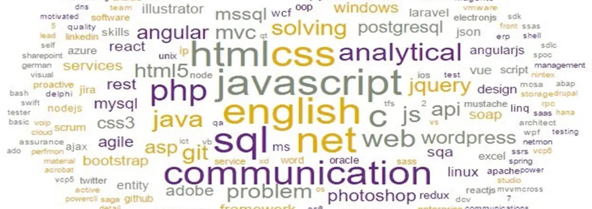 Skills demand for Software Developers 