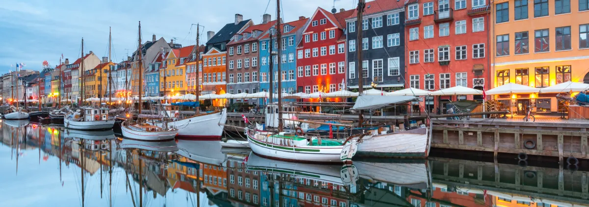 Case Study from Year One: Denmark