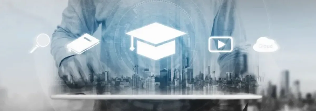 PICTURES - professionalization of practitioners who support emerging adults in prison