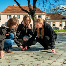 Estonia project photo